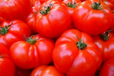 Собрала 10 кг томатов с одного куста - помидоры невероятно сладкие и мясистые pxhere.com