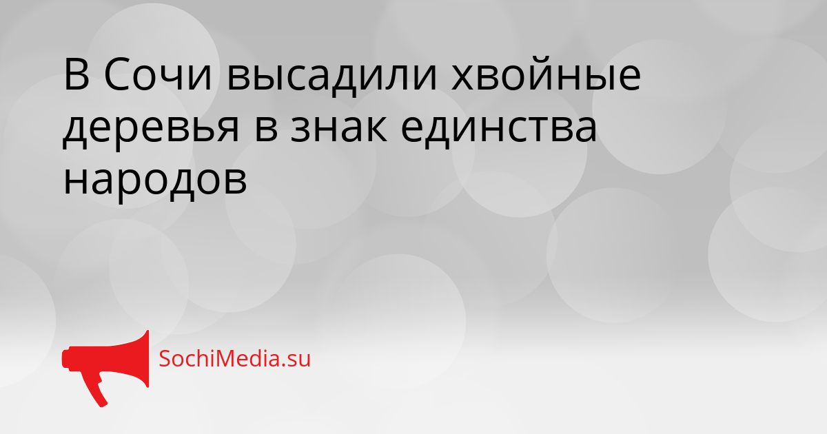 В Сочи высадили хвойные деревья в знак единства народов Сгенерировано