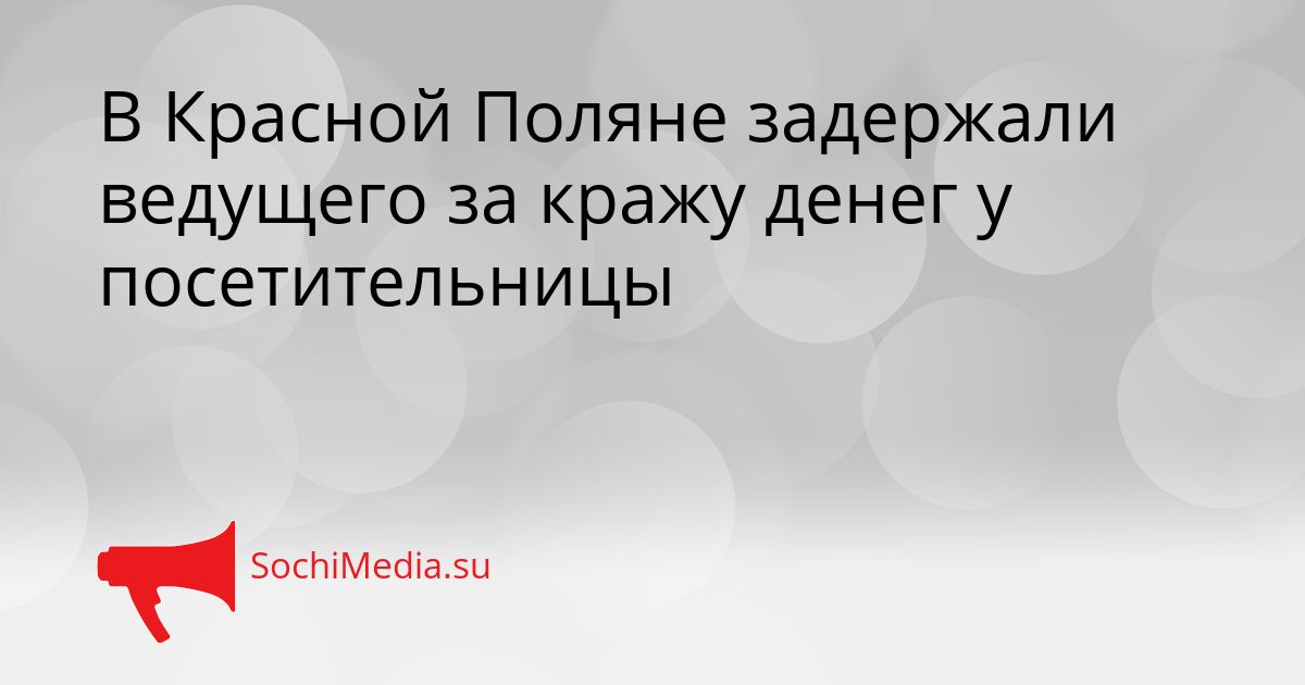 В Красной Поляне задержали ведущего за кражу денег у посетительницы Сгенерировано