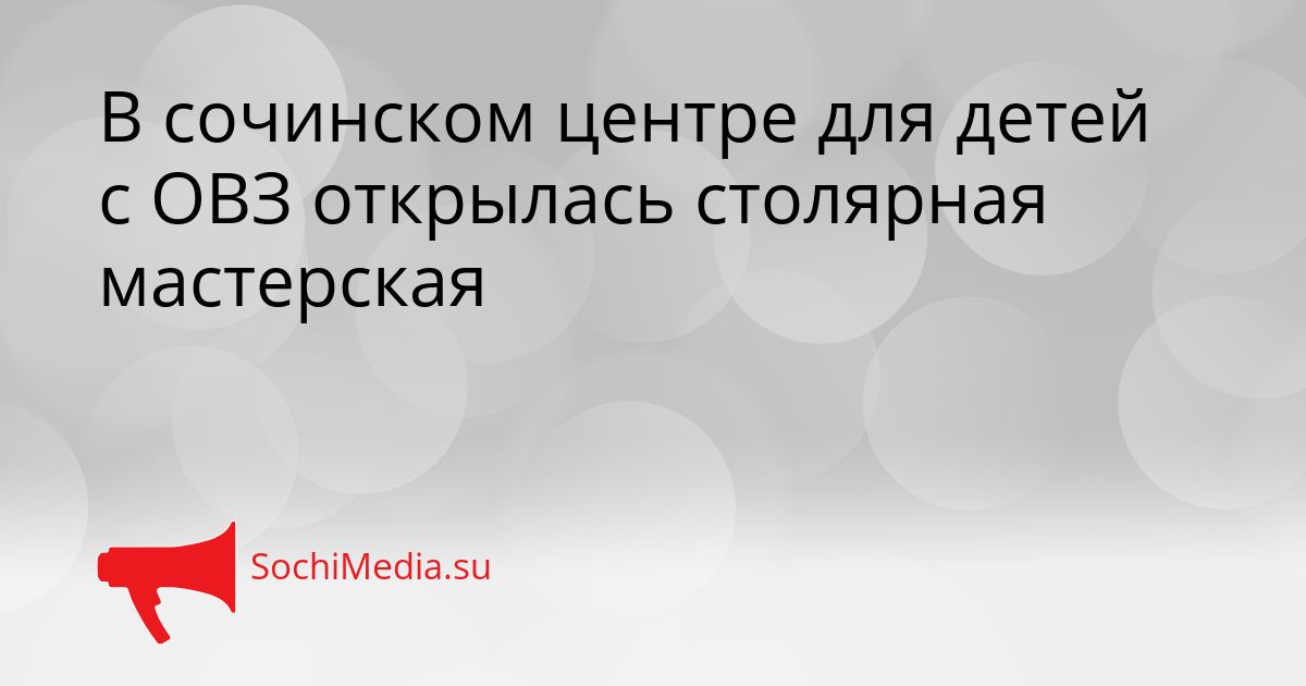 В сочинском центре для детей с ОВЗ открылась столярная мастерская Сгенерировано