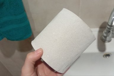 Нашла замену туалетной бумаге: 3 альтернативы, которые чище и приятнее обычных рулонов ИА SevastopolMedia