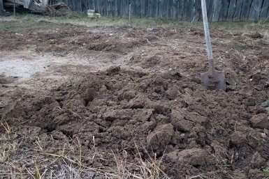 Добавляю 2 ложки — и почва в огороде как пух, урожай больше в 2 раза: копеечное средство Автора