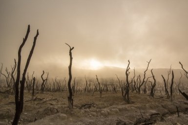 Что происходит с климатом Photo by form PxHere