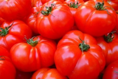 Спасаю вытянувшуюся рассаду томатов так - и она крепкая, и каждый куст даёт 10/10 идеальный урожай ИА KrasnodarMedia