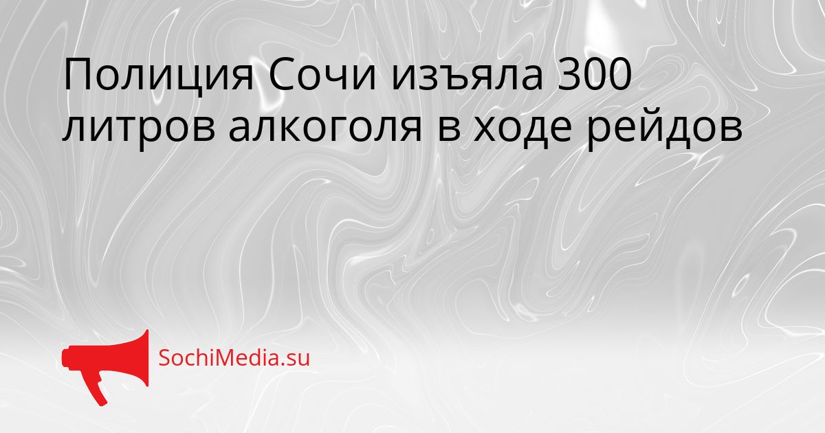 Полиция Сочи изъяла 300 литров алкоголя в ходе рейдов Сгенерировано