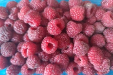 Тематическое фото ИА KrasnodarMedia