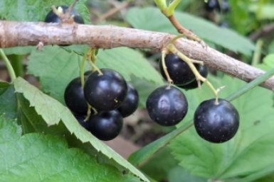 Тематическое фото ИА StavropolMedia