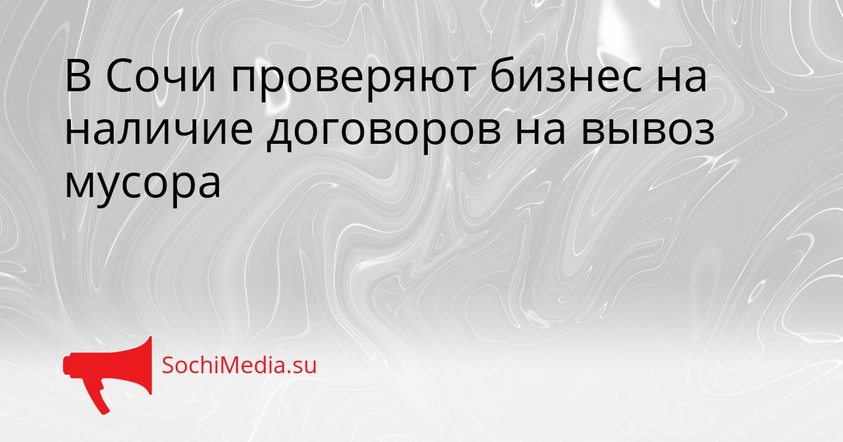 В Сочи проверяют бизнес на наличие договоров на вывоз мусора Сгенерировано