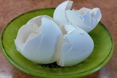 Тематическое фото ИА KrasnodarMedia