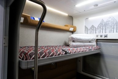 Останина попросила сделать поезда и самолёты доступнее для семей с детьми Евгений  Кулешов, ИА PrimaMedia.ru