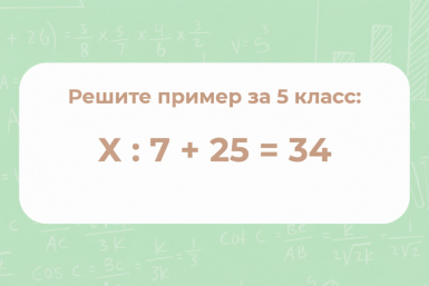 Тематическое фото ИА AmurMedia