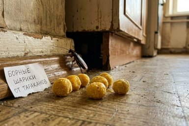 Тематическое фото сгенерировано при помощи ИИ