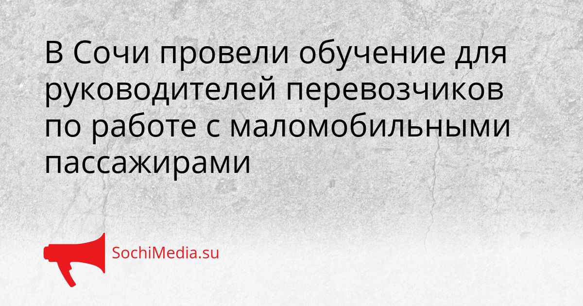 В Сочи провели обучение для руководителей перевозчиков по работе с маломобильными пассажирами Сгенерировано