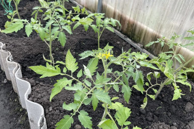 Тематическое фото ИА PrimaMedia