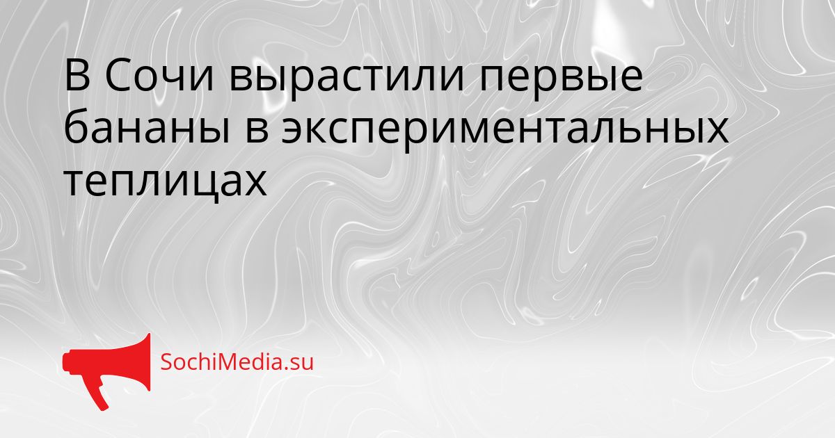 В Сочи вырастили первые бананы в экспериментальных теплицах Сгенерировано