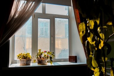 Полстакана в воду — и окна чистые до самой зимы: ни пыли, ни разводов — идеальная чистота