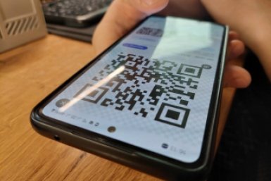 QR-код расскажет историю деревьев-гигантов Дарья Шерстюкова, ИА KrasnodarMedia