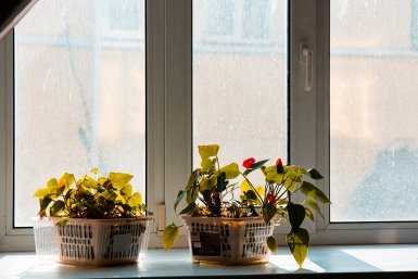Тематическое фото ИА NosostiAstana (18+)