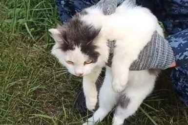 Ошейник с запрещённым грузом изъяли ГУФСИН по Нижегородской области