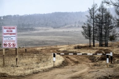 Лес Анета  Абрамченко, ИА ChitaMedia