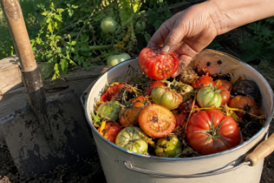 Тематическое фото сгенерировано при помощи ИИ