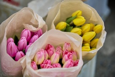 тюльпаны, цветы, март, торговля с машины, Дмитрий Осипчук, ИА PrimaMedia