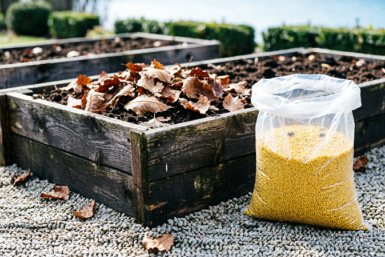 Тематическое фото Создано с помощью ИИ