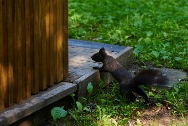 Названы самые востребованные курорты Кубани для санаторного лечения Дмитрий Осипчук