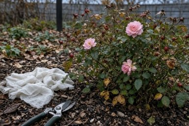 Тематическое фото сгенерировано при помощи ИИ