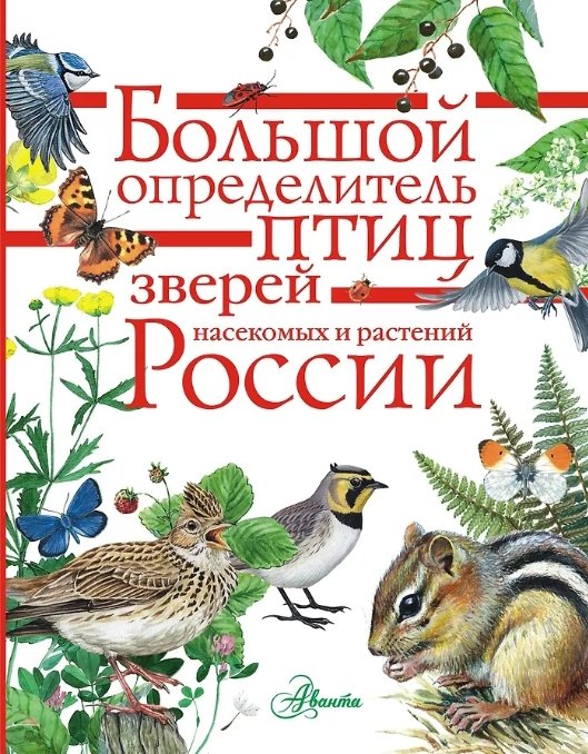 Издательство АСТ