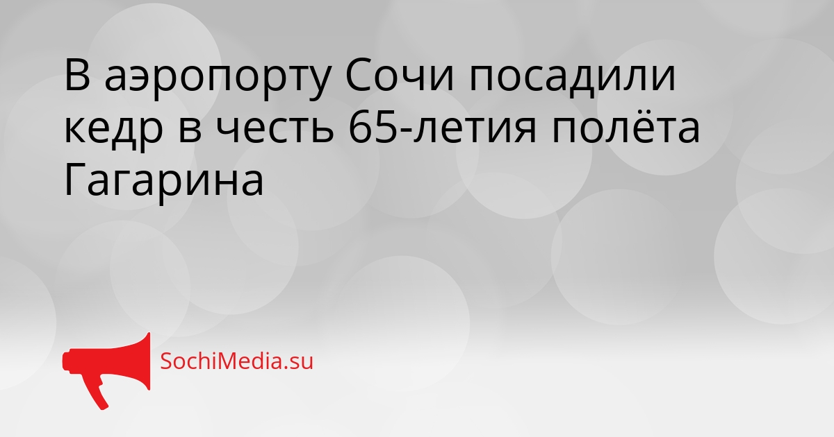 В аэропорту Сочи посадили кедр в честь 65-летия полёта Гагарина Сгенерировано