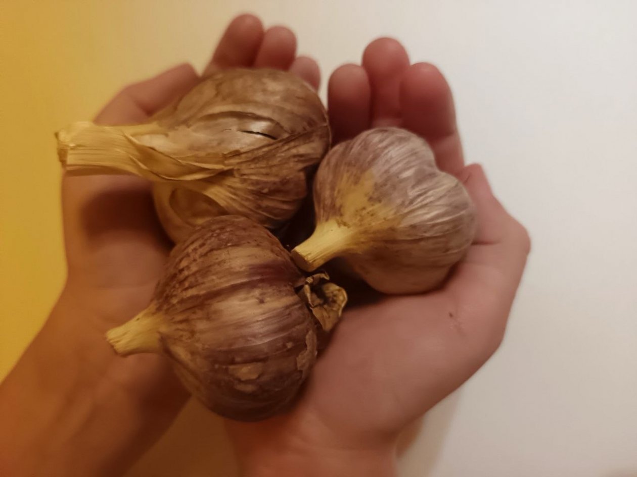 Тематическое фото ИА KrasnodarMedia