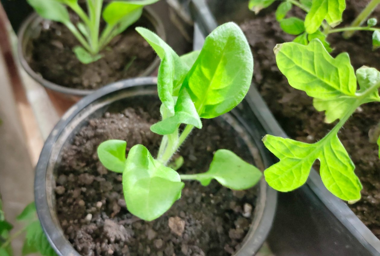 Тематическое фото Автора