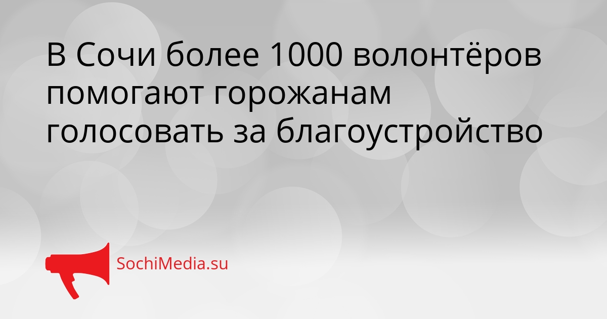 В Сочи более 1000 волонтёров помогают горожанам голосовать за благоустройство Сгенерировано