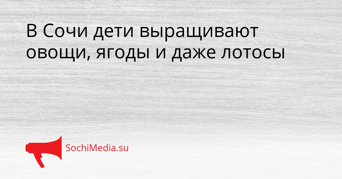 В Сочи дети выращивают овощи, ягоды и даже лотосы Сгенерировано
