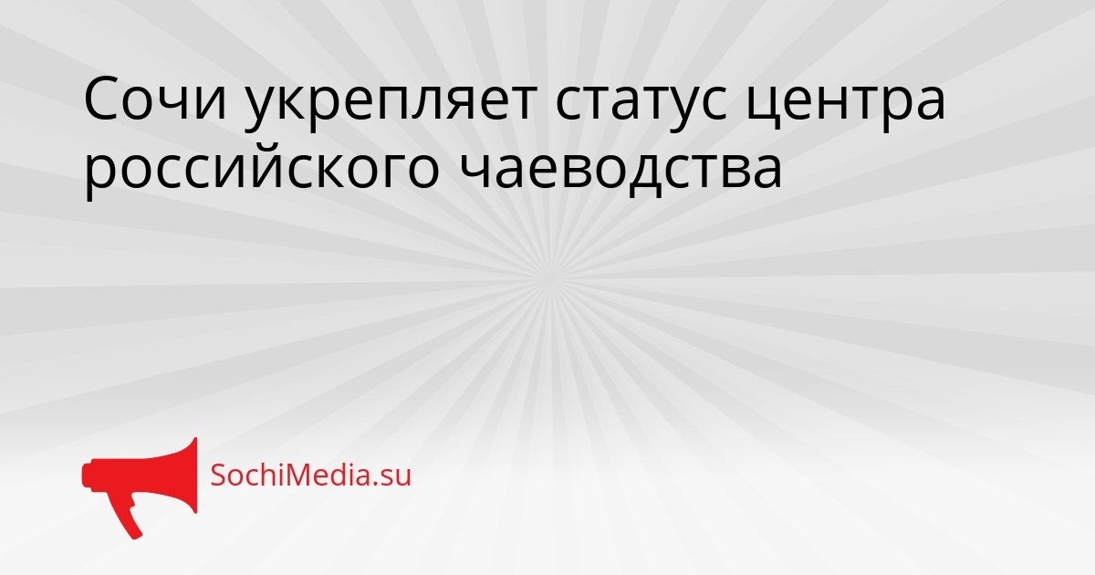 Сочи укрепляет статус центра российского чаеводства Сгенерировано
