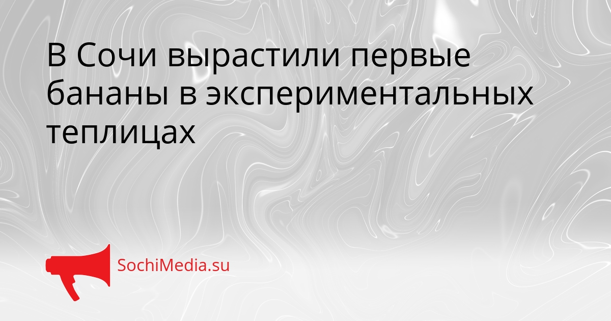 В Сочи вырастили первые бананы в экспериментальных теплицах Сгенерировано