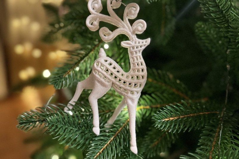 АТОР назвала Сочи главным направлением для новогоднего отдыха - SochiMedia, 07.11.2025