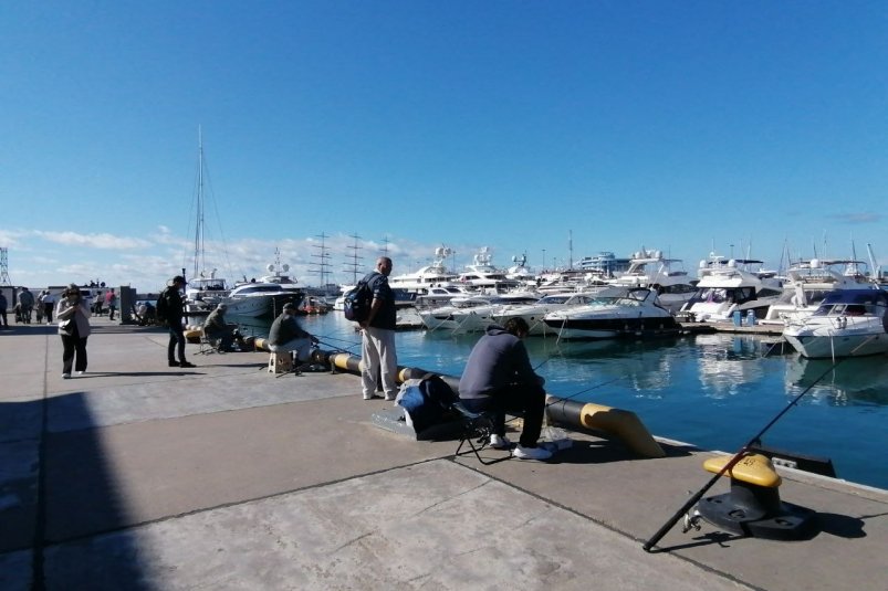 Пассажиры парома из Трабзона не могут сойти на берег в Сочи второй день - SochiMedia, 07.11.2025