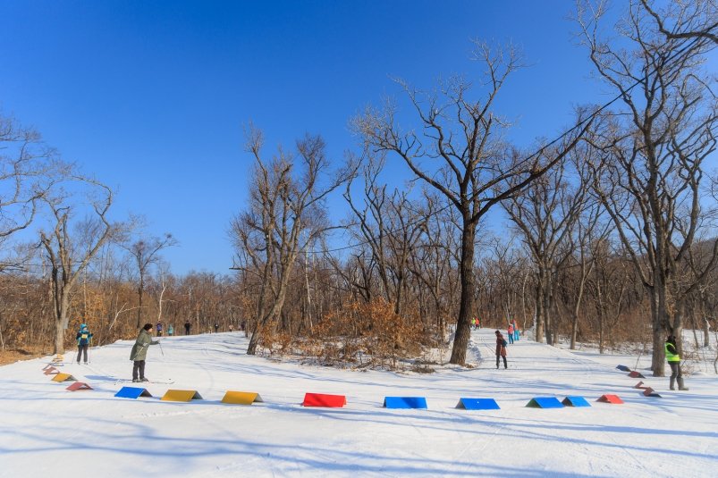 Сочи бьет рекорды по росту цен на зимний и пляжный отдых Сочи бьет рекорды по росту цен на зимний и пляжный отдых - SochiMedia, 12.11.2025