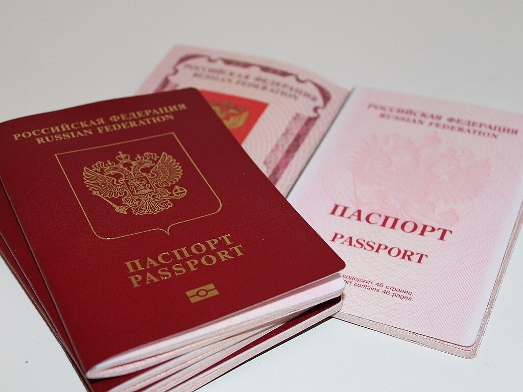 Обладание двумя загранпаспортами дает преимущества commons.wikimedia.org