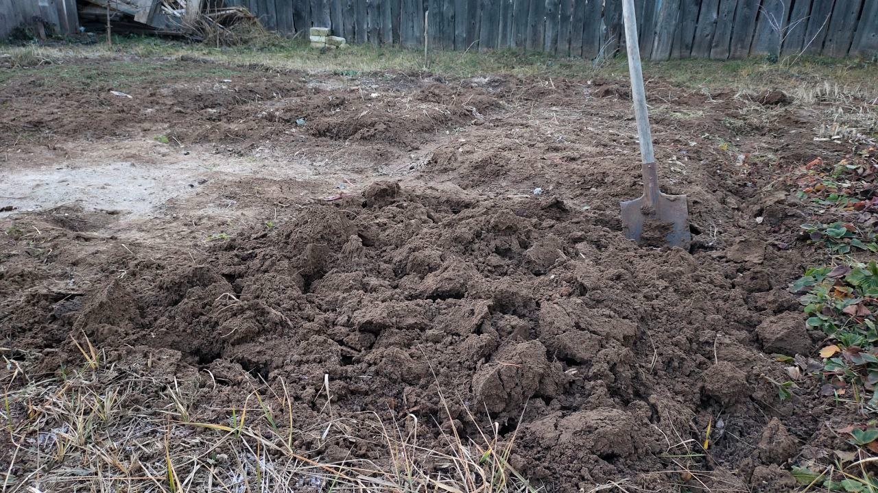 Перестала перекапывать огород каждую весну - и урожай вырос в 2 раза при минимуме физических усилий Автора