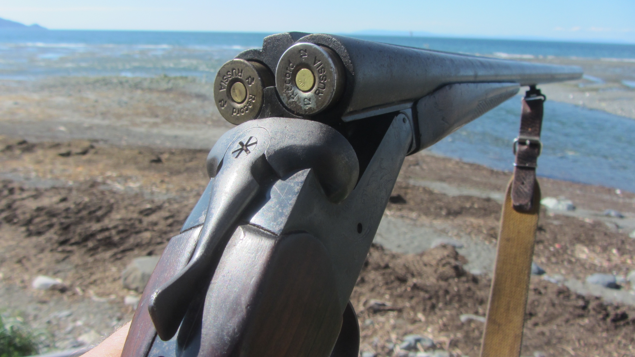 В Минприроды опровергли слухи о разрешении охоты на краснокнижных животных Игорь Чёрный, ИА MagadanMedia