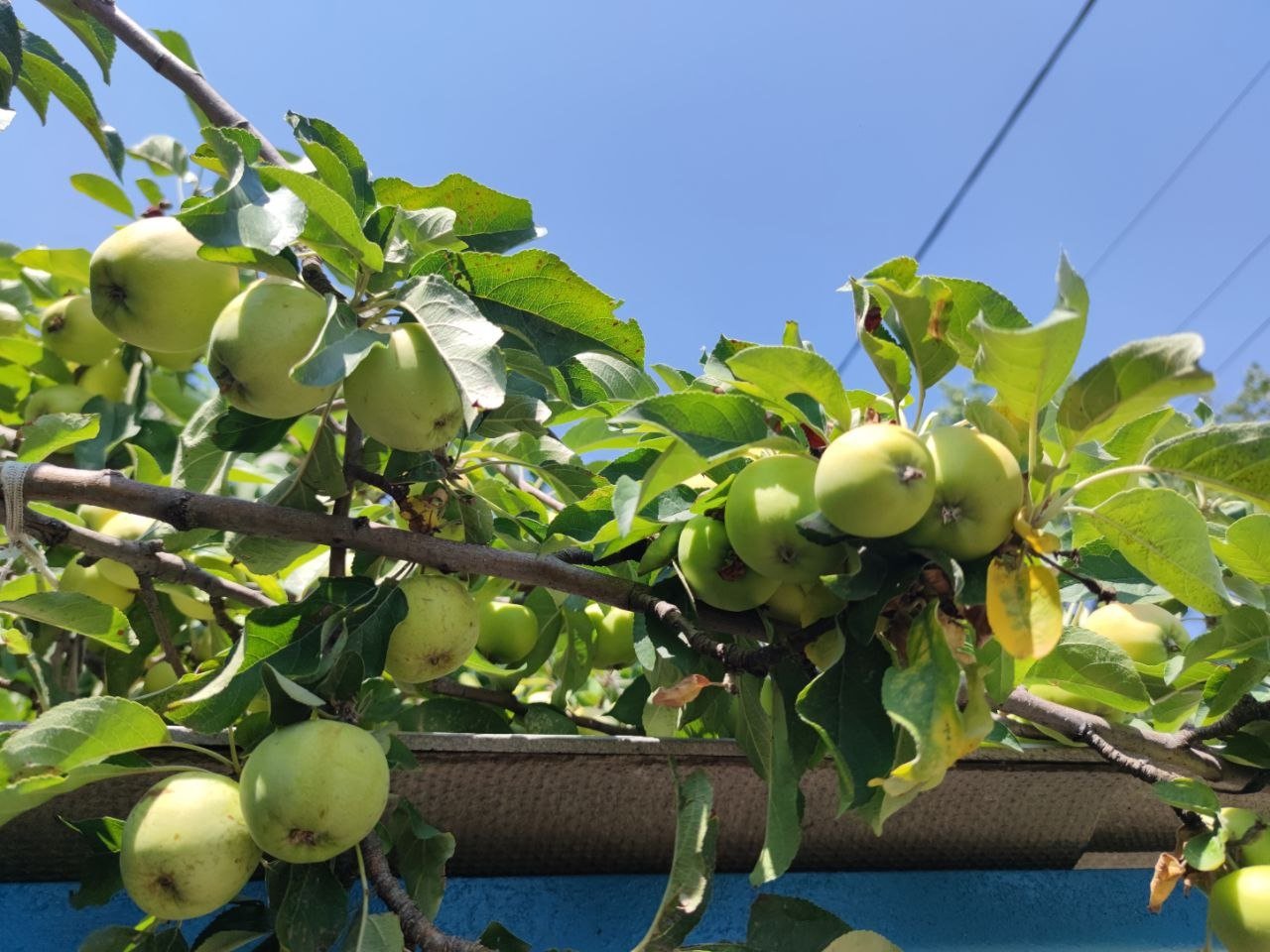 Тематическое фото ИА KrasnodarMedia